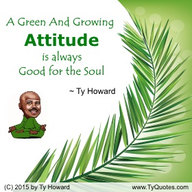 Attitude Training by Ty Howard Maryland DC Virginia