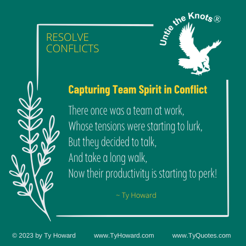 Conflict Resolution Training by Ty Howard Maryland DC Virginia